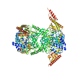 BU of 8cpl by Molmil