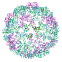 BU of 8cpy by Molmil