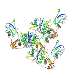 BU of 8cqk by Molmil