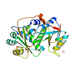 BU of 8cqu by Molmil