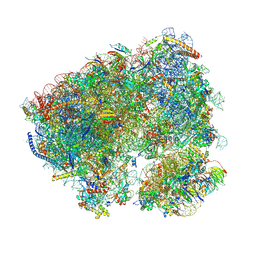 BU of 8cqw by Molmil