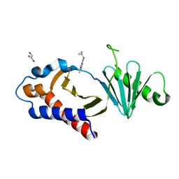 BU of 8crc by Molmil