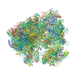 BU of 8cre by Molmil