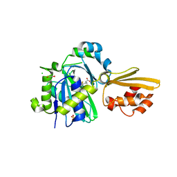 BU of 8cri by Molmil