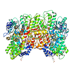 BU of 8crs by Molmil