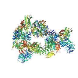 BU of 8cs9 by Molmil