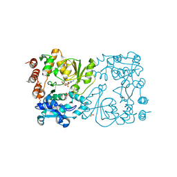 BU of 8csb by Molmil