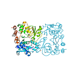 BU of 8csb by Molmil