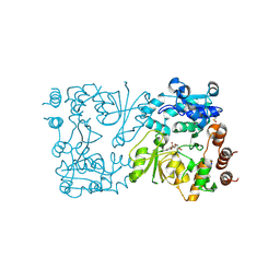 BU of 8csc by Molmil