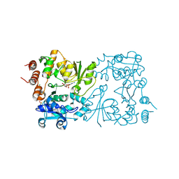 BU of 8csd by Molmil