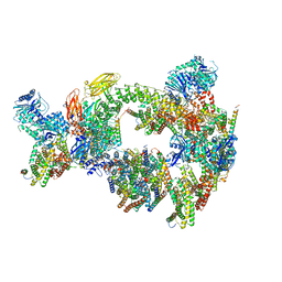 BU of 8csl by Molmil