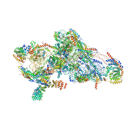 BU of 8csu by Molmil