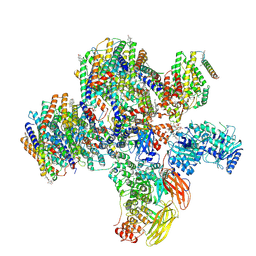 BU of 8cte by Molmil