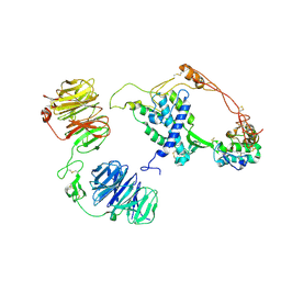 BU of 8ctg by Molmil