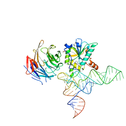 BU of 8cth by Molmil