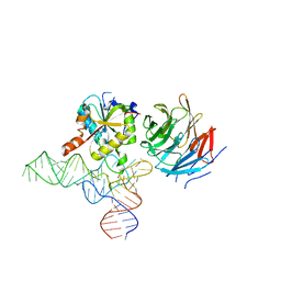 BU of 8cti by Molmil