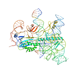 BU of 8ctl by Molmil