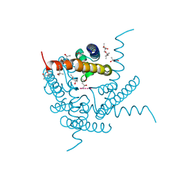 BU of 8cts by Molmil