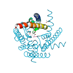 BU of 8ctt by Molmil
