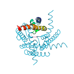 BU of 8ctx by Molmil