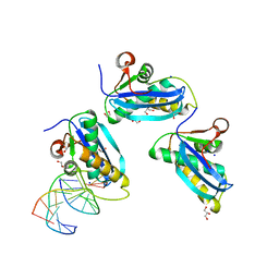 AU of 8cu0 by Molmil