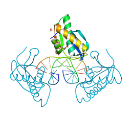 BU of 8cu0 by Molmil