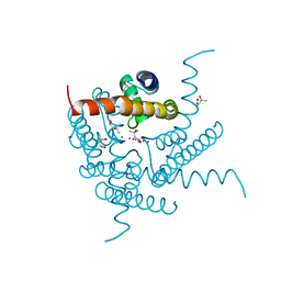 BU of 8cu1 by Molmil