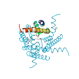 BU of 8cu2 by Molmil