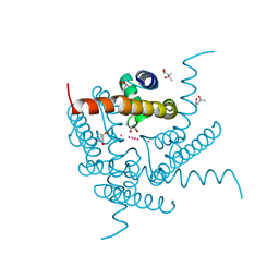 BU of 8cu3 by Molmil