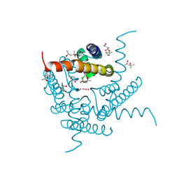 BU of 8cu4 by Molmil