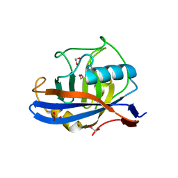 BU of 8cu5 by Molmil