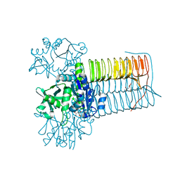 BU of 8cu9 by Molmil