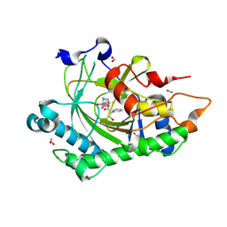 BU of 8cv8 by Molmil