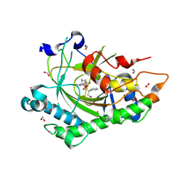 BU of 8cv9 by Molmil