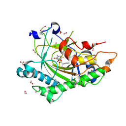 BU of 8cvb by Molmil