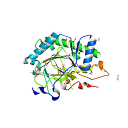 BU of 8cve by Molmil