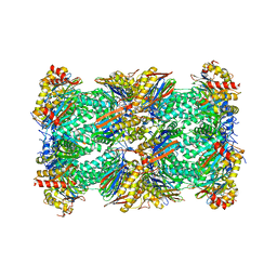 BU of 8cvr by Molmil