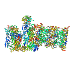 BU of 8cvt by Molmil