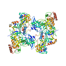 BU of 8cx2 by Molmil