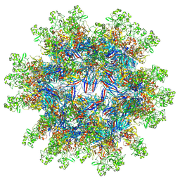 BU of 8cyg by Molmil