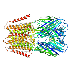 AU of 8d68 by Molmil