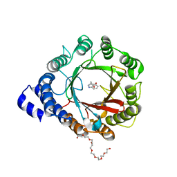 BU of 8db0 by Molmil