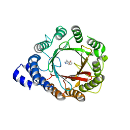 BU of 8db1 by Molmil