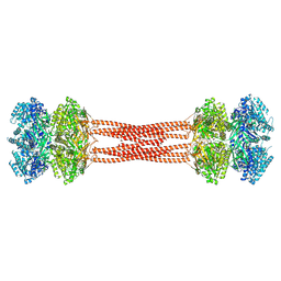 BU of 8dba by Molmil