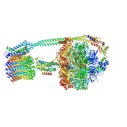 BU of 8dbq by Molmil