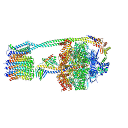 BU of 8dbr by Molmil