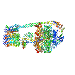 BU of 8dbt by Molmil