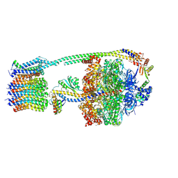 BU of 8dbu by Molmil