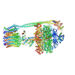 BU of 8dbv by Molmil