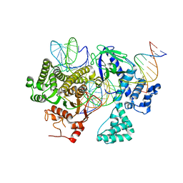 BU of 8dc2 by Molmil